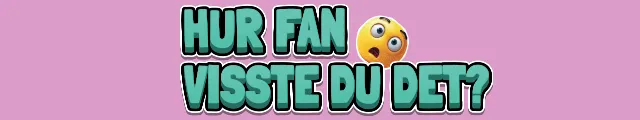 Hur fan visste du det?